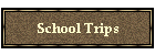 School trips at the Camel Farm