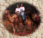 Riders enjoying a camel ride on the Bibbulmun Track