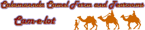 The Calamunnda Camel Farm