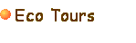 Click here to find out more about the eco tours