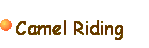 Click here to find out more about the camel rides