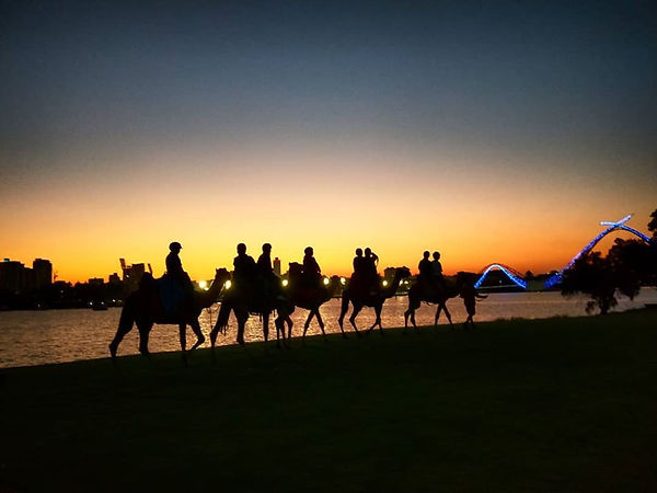 57004880_797067794001625_884737118651075